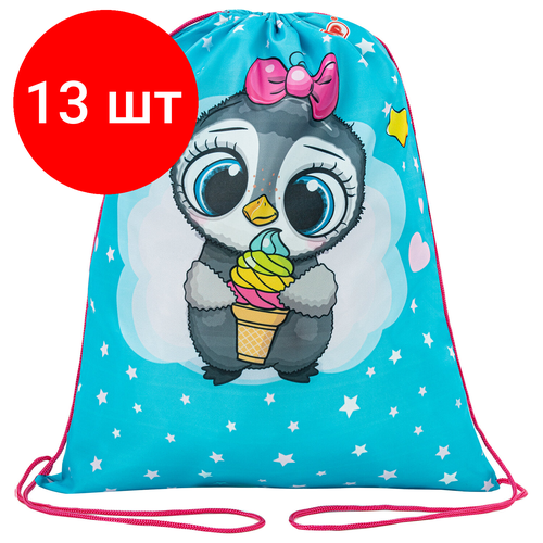 Комплект 13 шт, Мешок для обуви пифагор, 1 отделение, 42х34 см, Smart penguin, 271602