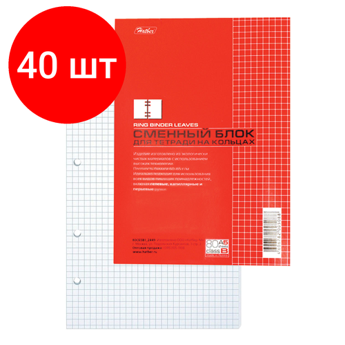 Комплект 40 шт, Сменный блок к тетради на кольцах, А5, 80 л, HATBER, Белый, 80СБ5В1, Т05088 комплект 25 шт сменный блок к тетради на кольцах а5 80 л hatber белый 80сб5в1 т05088