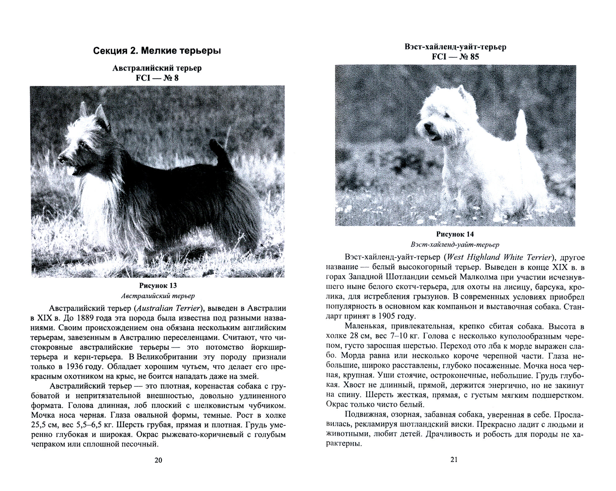 Охотничьи собаки. Учебное пособие для вузов - фото №2