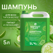 Шампунь Septivit Frutsy Огуречный лимонад для всех типов волос 5л