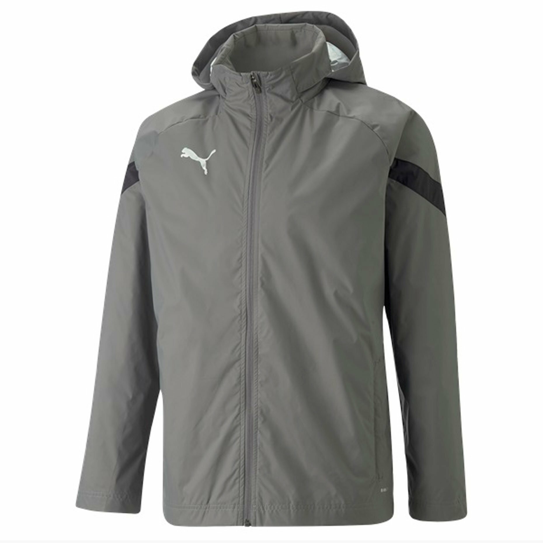 Куртка спортивная PUMA teamFINAL All Weather Jacket