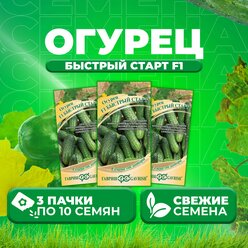 Огурец Быстрый старт F1, 10шт, Гавриш, от автора (3 уп)