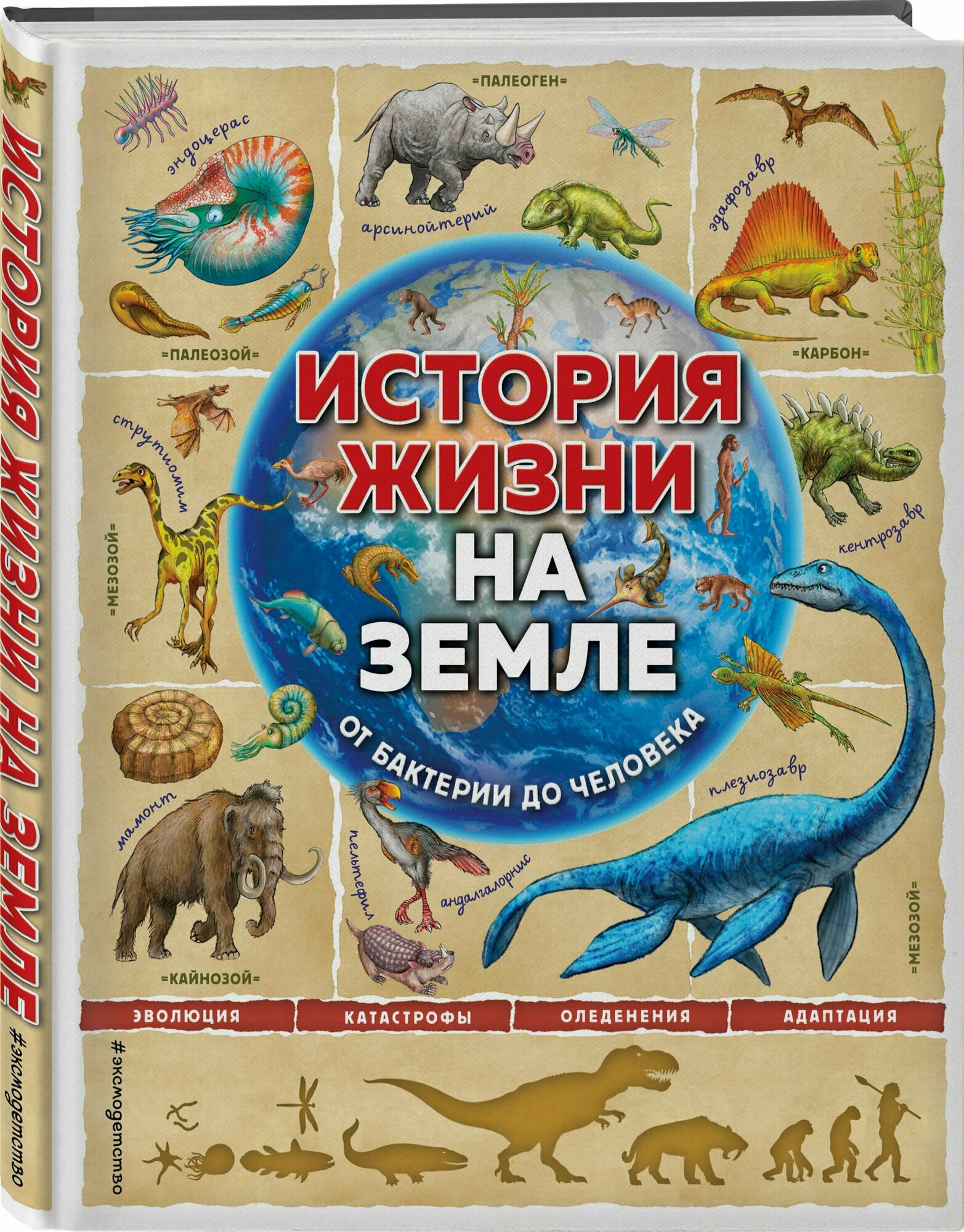 История жизни на Земле От бактерии до человека - фото №6