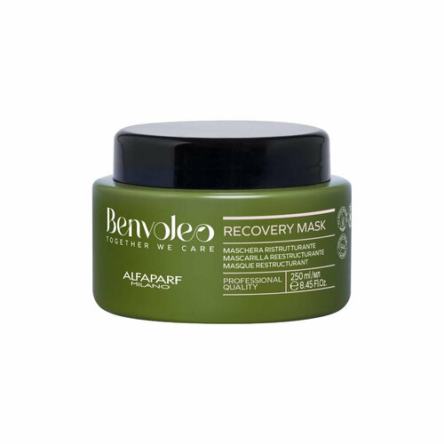 Маска для восстановления волос RECOVERY MASK, 250 мл, Benvoleo, 23811