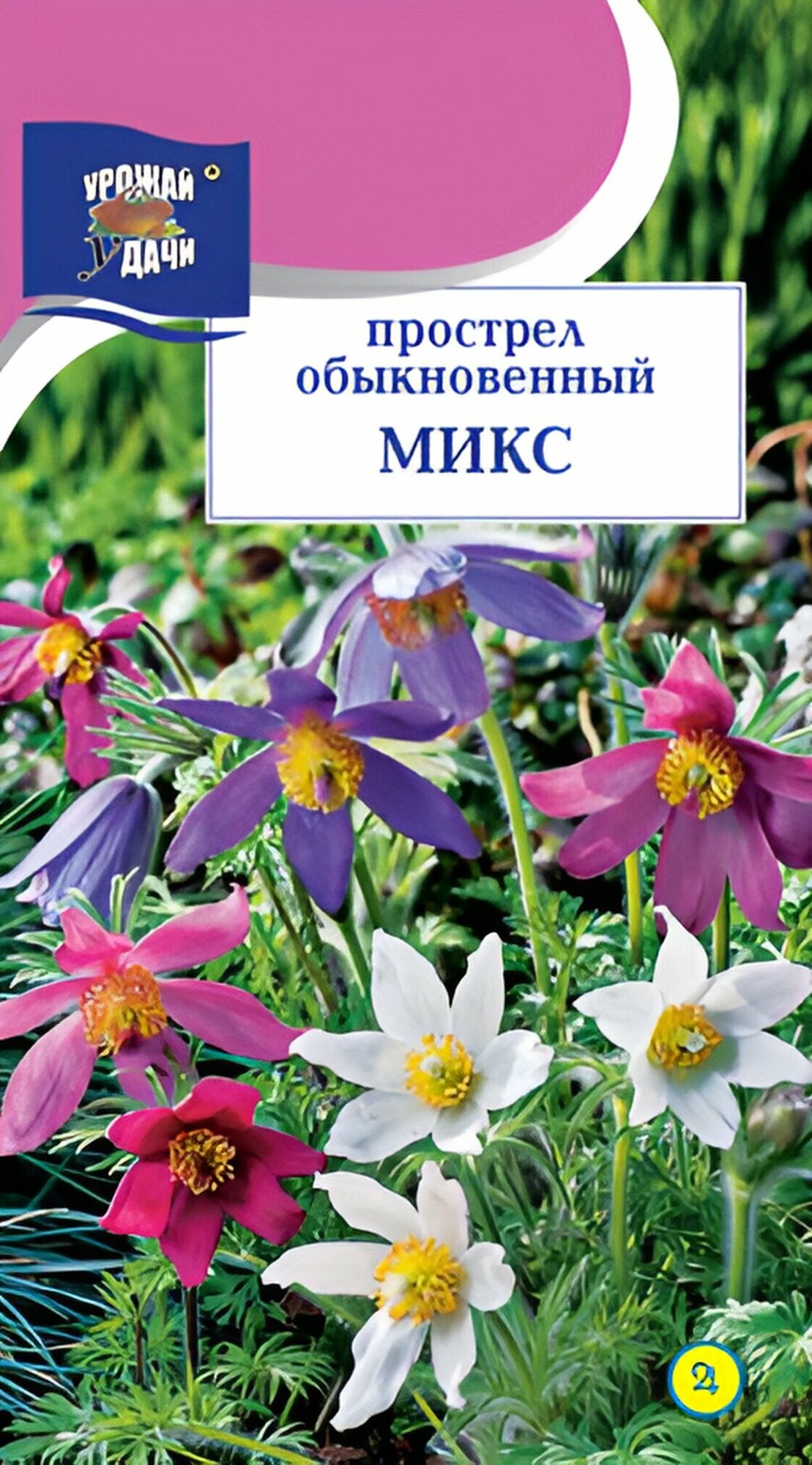 Семена Прострел обыкновенный Микс (0,03 г), 2 пакета, Урожай Удачи — фото 1