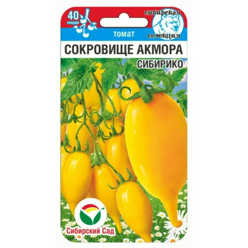 Томат сокровище отзывы фото