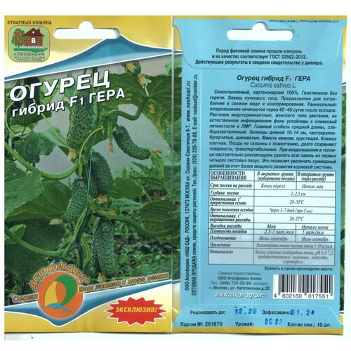 Огурец гера, гибрид F1, 10 семян. Эксклюзив. Агрофирма 