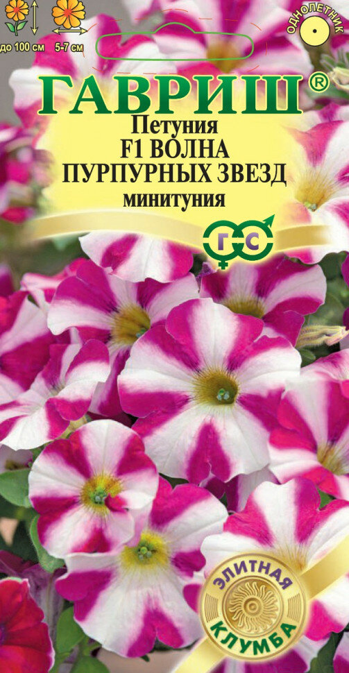 Семена Петуния суперкаскадная (Минитуния) Волна пурпурных звезд F1 4шт Гавриш Элитная клумба 2 пакетика