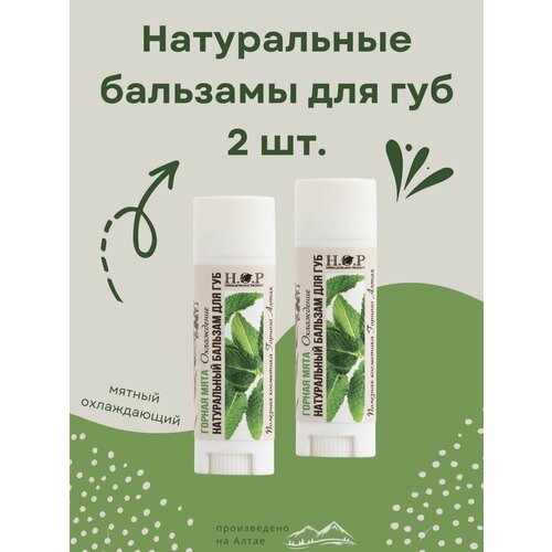 Бальзам для губ натуральный горная мята охлаждение 2 шт 549₽