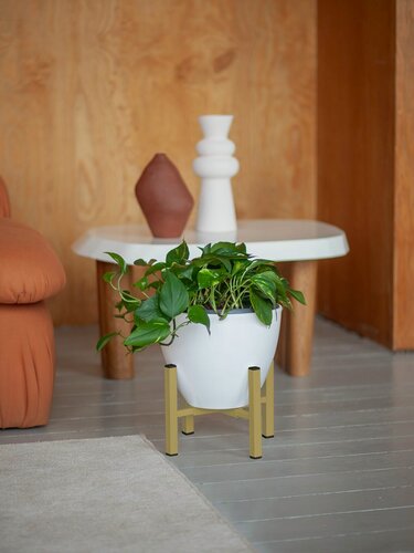 Изображение товара Подставка для цветов разборная OXALIS SMART 20, золотой