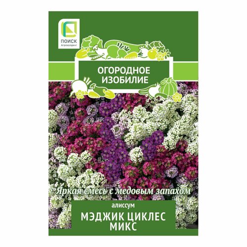 Семена алиссума Мэджик Циклес микс семена цветов поиск алиссум мэджик циклес микс