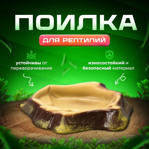 Поилка для рептилий кормушка поилка для террариума, черепах, змей Simple Zoo, 100х80х30 мм
