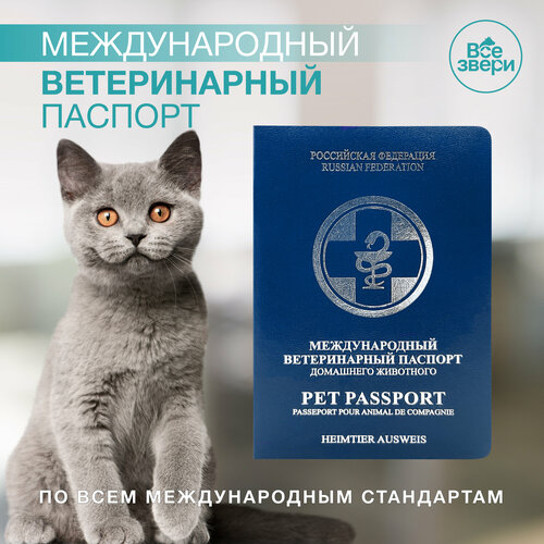Международный ветеринарный паспорт все звери у дела