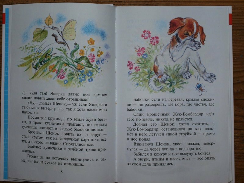 Рассказы о животных (Бианки Виталий Валентинович; Скребицкий Георгий Алексеевич; Пришвин Михаил Михайлович; Сладков Николай Иванович) - фото №16