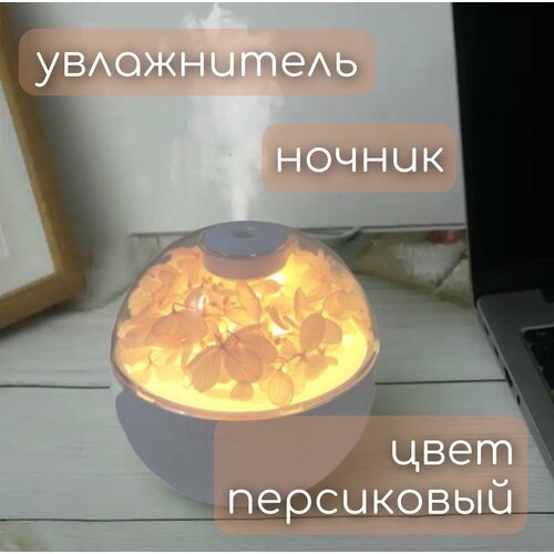 Увлажнитель воздуха ночник светильник круглый с цветами персиковый 97800₽
