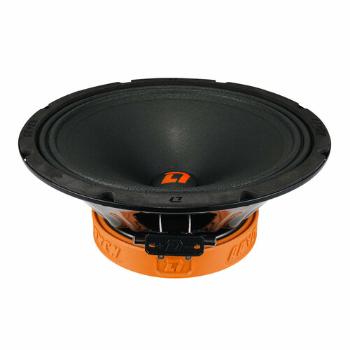 DL Audio Raven 250 v2 Акустическая система 1066400₽