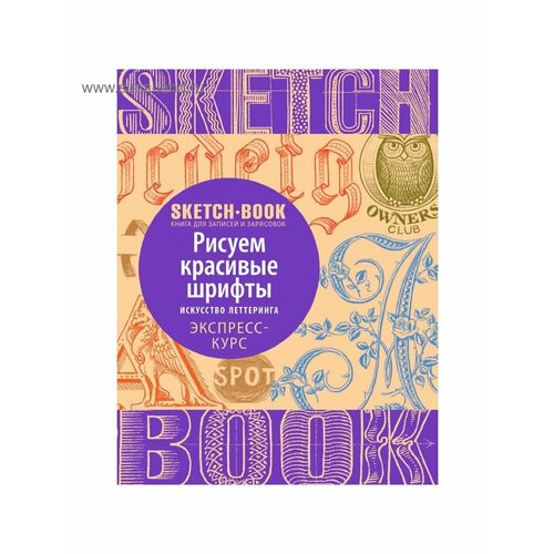 Книги по рисованию sketchbook рисуем красивые шрифты искусство леттеринга экспресс курс