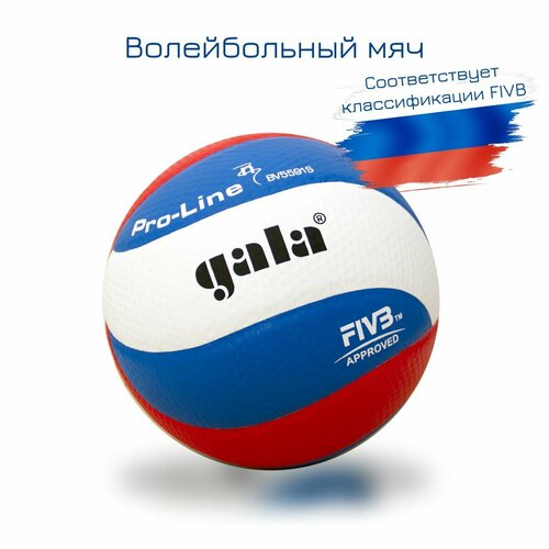 мяч волейбольный gala pro line 10 арт bv5821sa р 5 Мяч волейбольный Gala