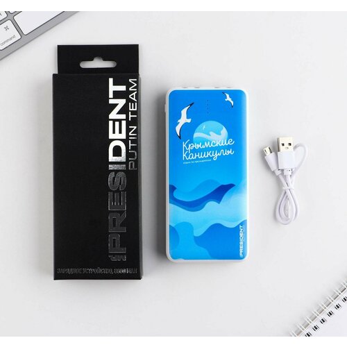 Зарядное устройство Крымские каникулы 8000мА модель PB-23 145 х 69 см 1829₽