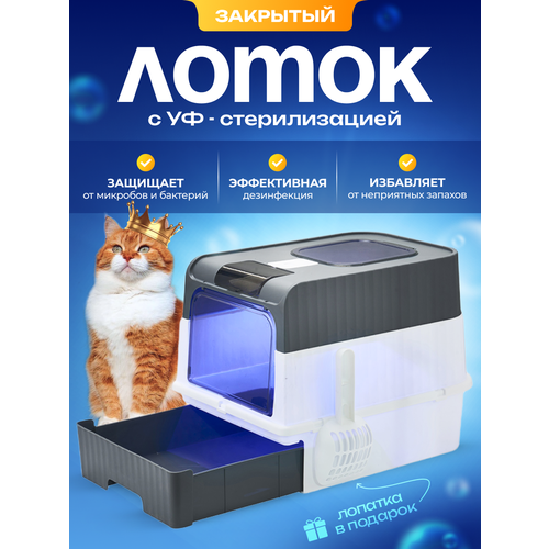 Лоток для кошек большой, закрытый кошачий туалет, домик