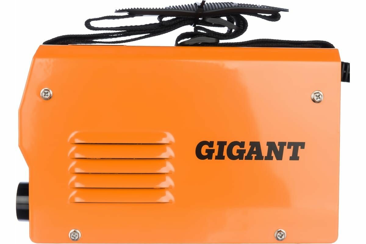 Gigant - фото №13