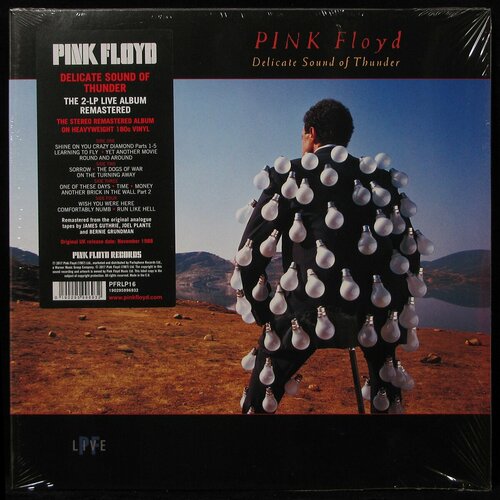 Виниловая пластинка Pink Floyd – Delicate Sound Of Thunder (2LP) pink floyd delicate sound of thunder restored re edited remixed blu ray 20 11 2020