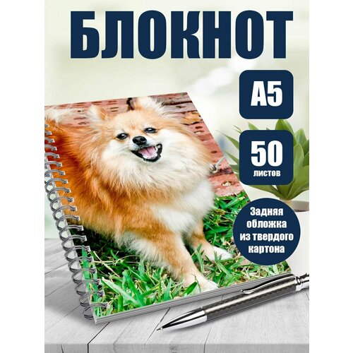 Тетрадь 50 листов в клетку Шпиц 446₽