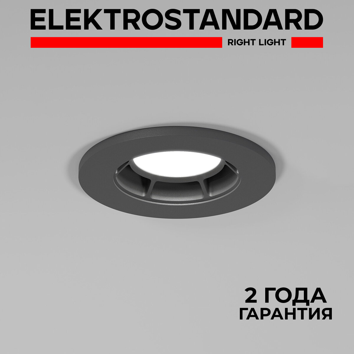 Точечный встраиваемый светильник Elektrostandard Asimo 25009/01 GU10 графит IP20