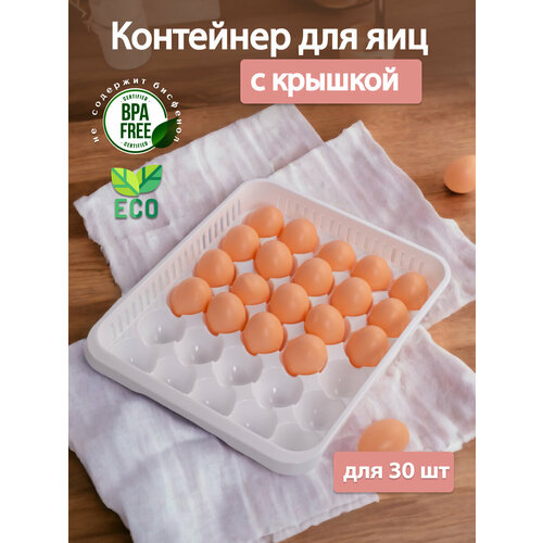 Контейнер для хранения яиц на 30 секций, HOBBY LIFE, пластик, цвет белый