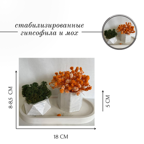 Набор кашпо Гипсофила и мох комбинированный, оранжевый, белый, зеленый, бесцветный, желтый