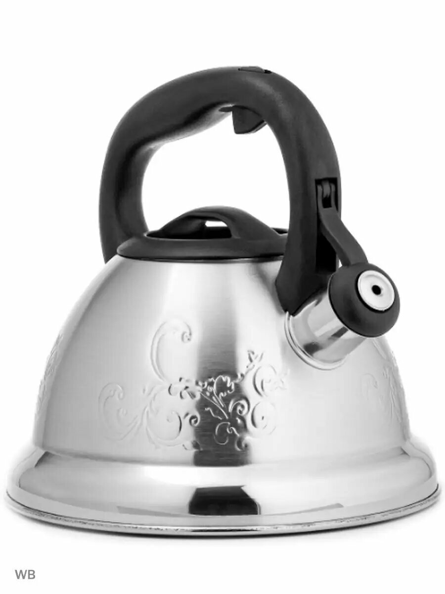 Чайник для плиты LR00-56 2,7 литра/для всех видов плит — фото 1