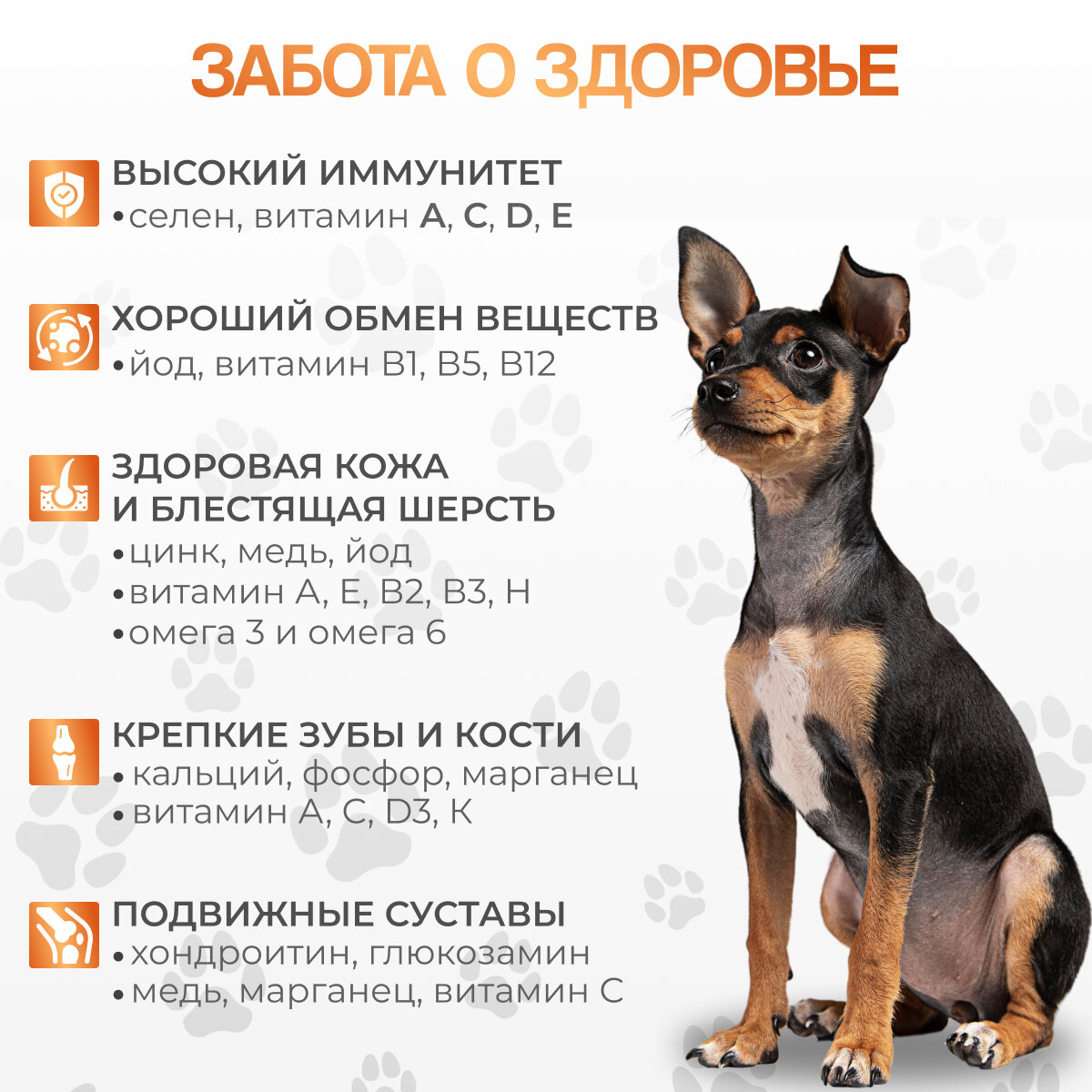 Сухой корм биско/BISKO мини с говядиной для взрослых собак мелких пород 3 кг. — фото 1