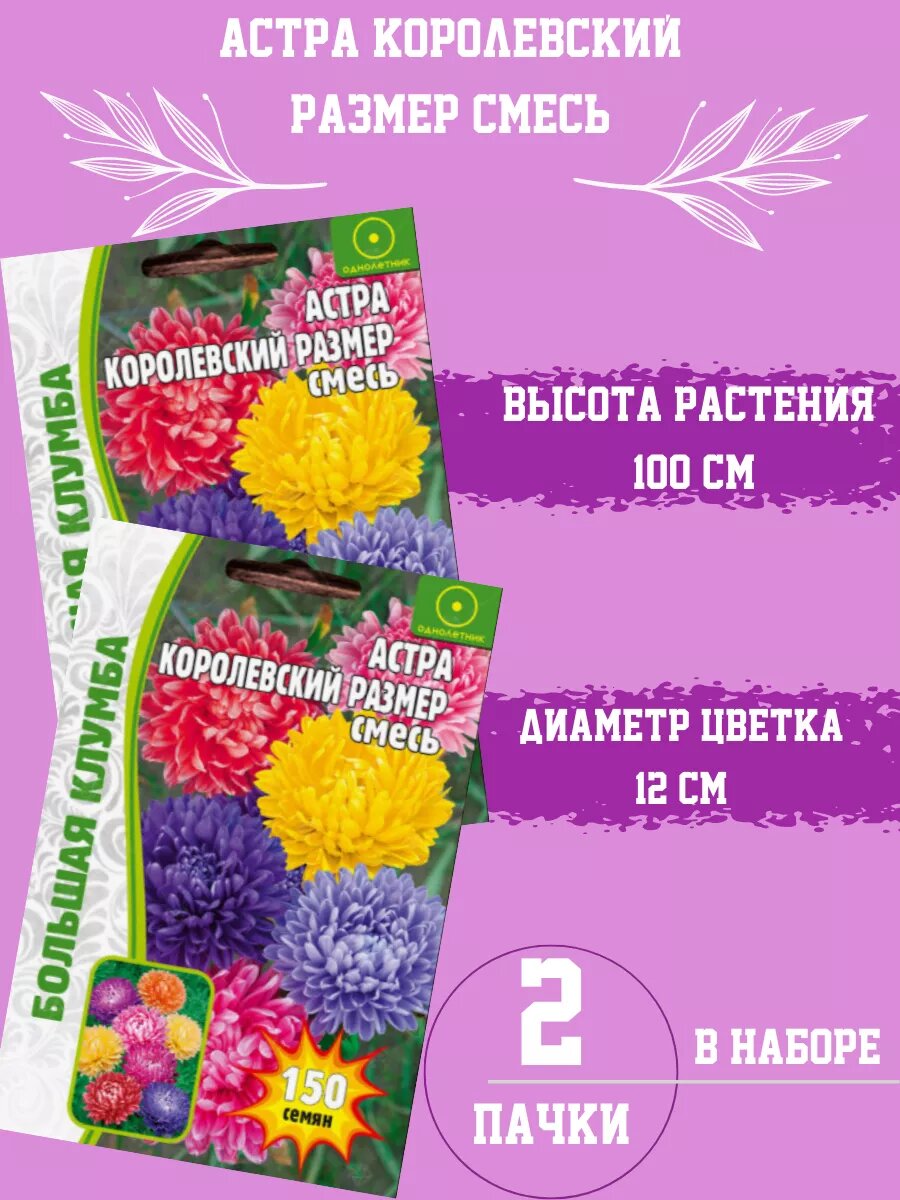 Семена Астра Королевский Размер 2шт