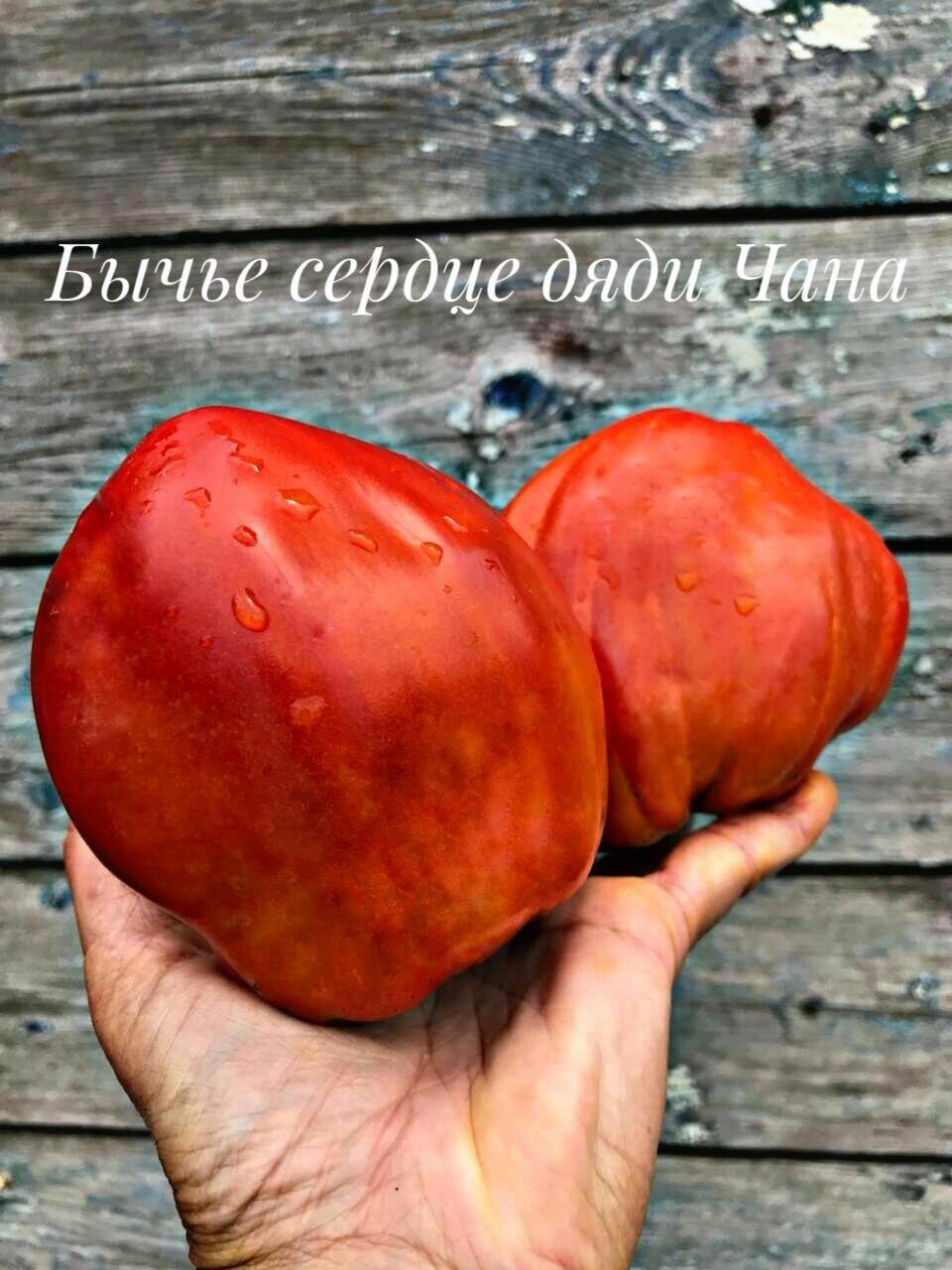 Бычье сердце дяди Чана. Семена томатов. 10 семян