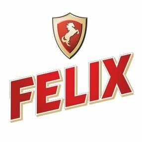 FELIX 411040086 Смазка Графитная FELIX 100 гр (туба)