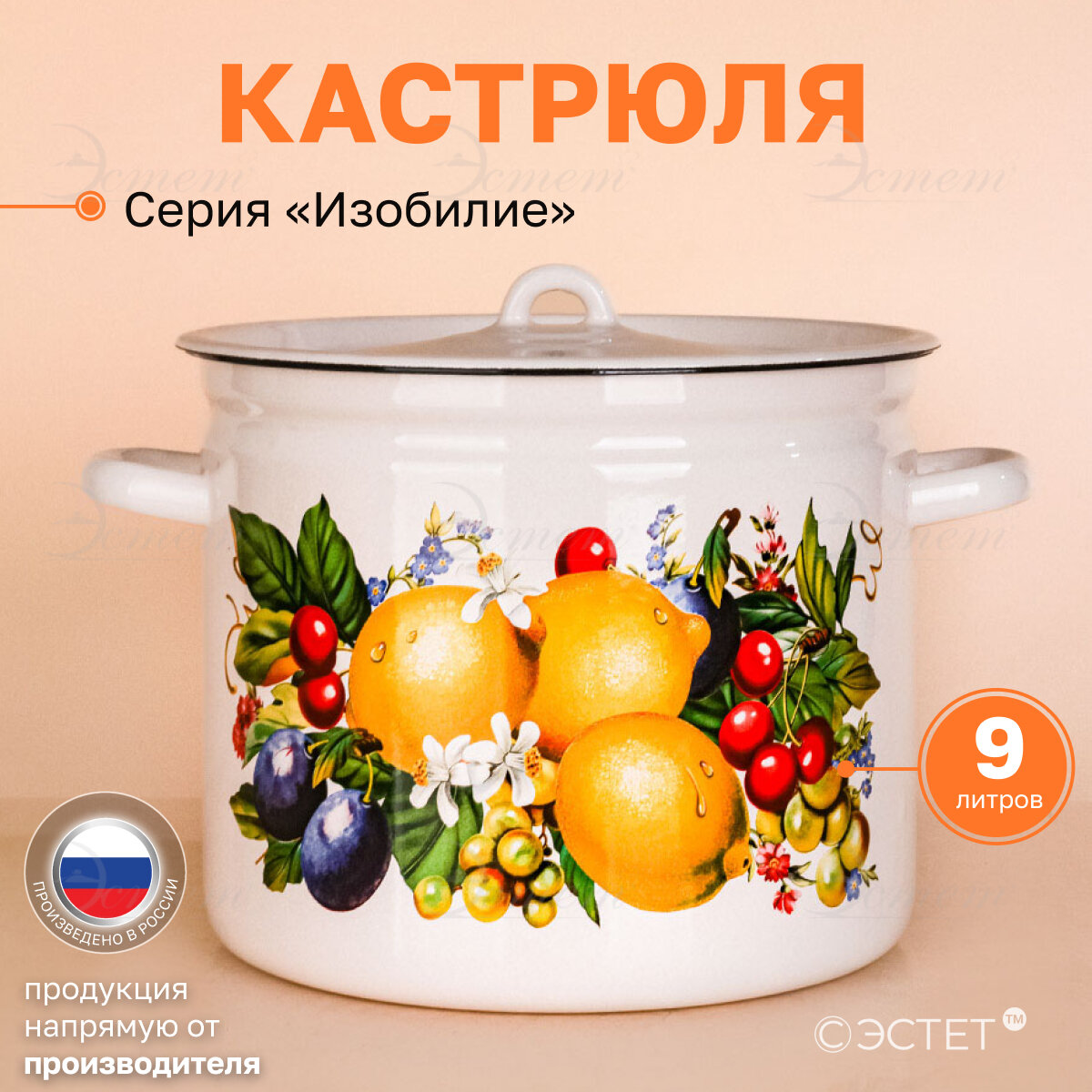 Кастрюля эмалированная для плиты 9.0 л