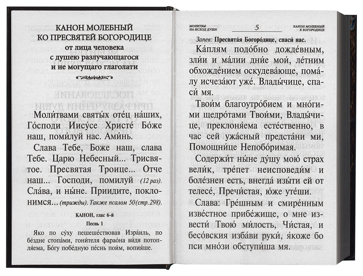 Псалтирь и каноны по усопшим для слабовидящих - фото №9