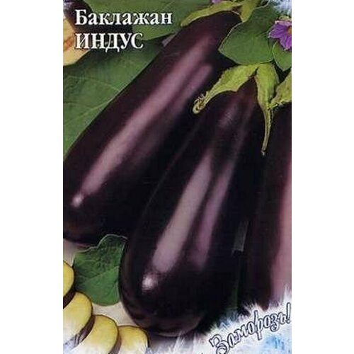 Баклажан нн