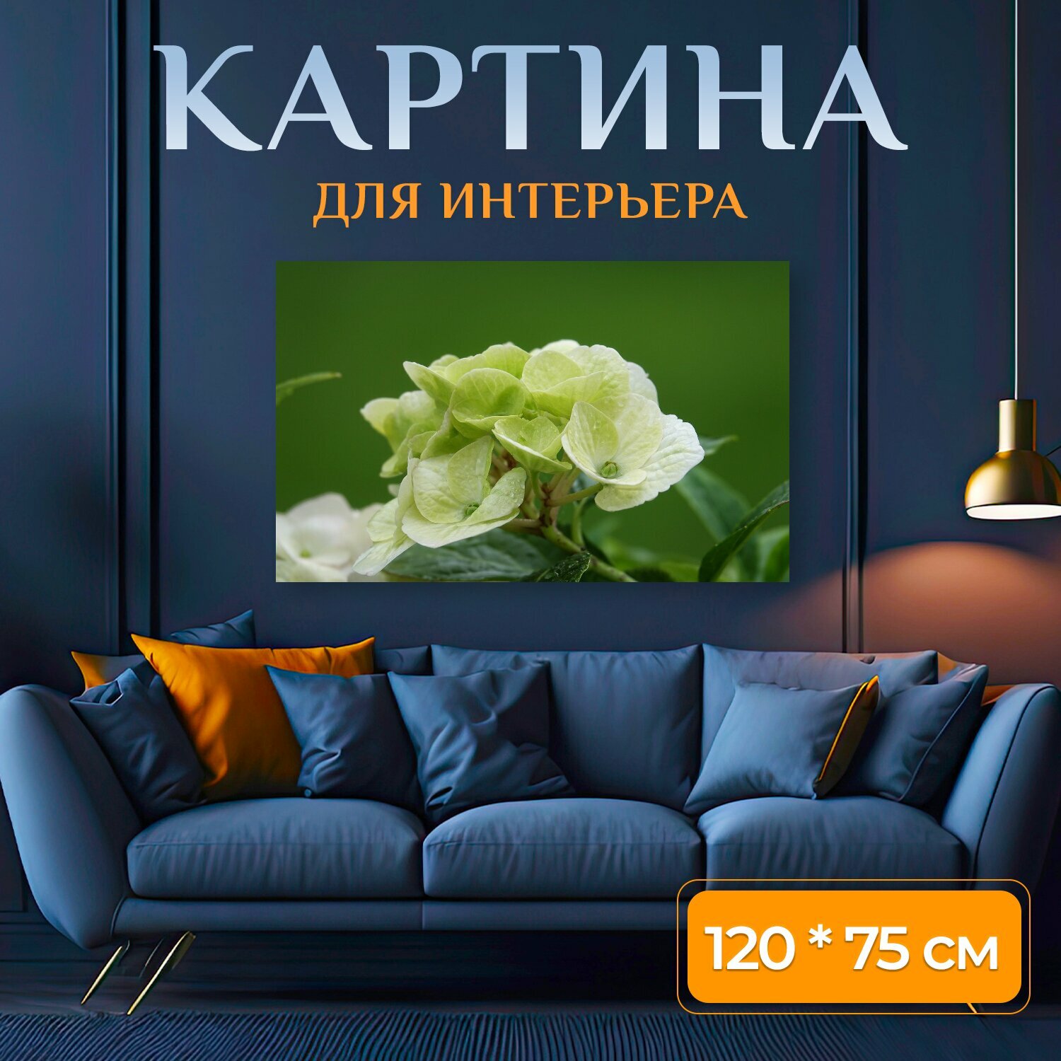 Картина на холсте "Гортензия, цветок, блум" на подрамнике 120х75 см. для интерьера