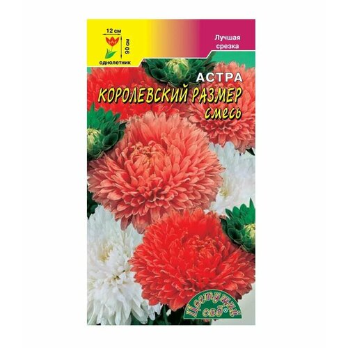 Семена Астра Смесь Королевский размер Цветущий сад
