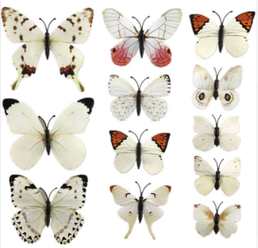 2 уп/лот. Декоративные 3D бабочки (12 шт.). Цвет белый.