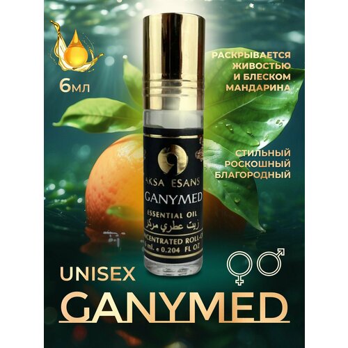 Духи мужские масляные AKSA ESANS GANYMED / Акса Эсанс, мужской и женский аромат, вкус ганимед, духи унисекс, парфюм, 6мл