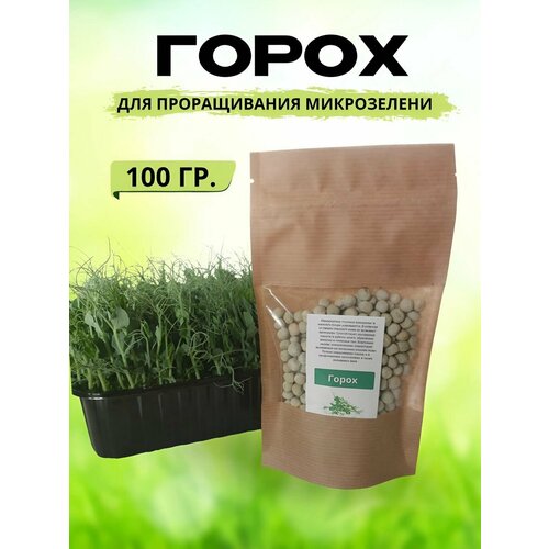 Горох для проращивания микрозелени 100 г.
