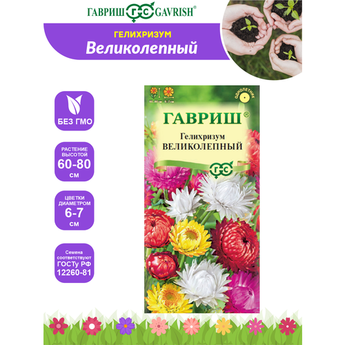 Семена Гелихризум Великолепный смесь 01 гр 399₽