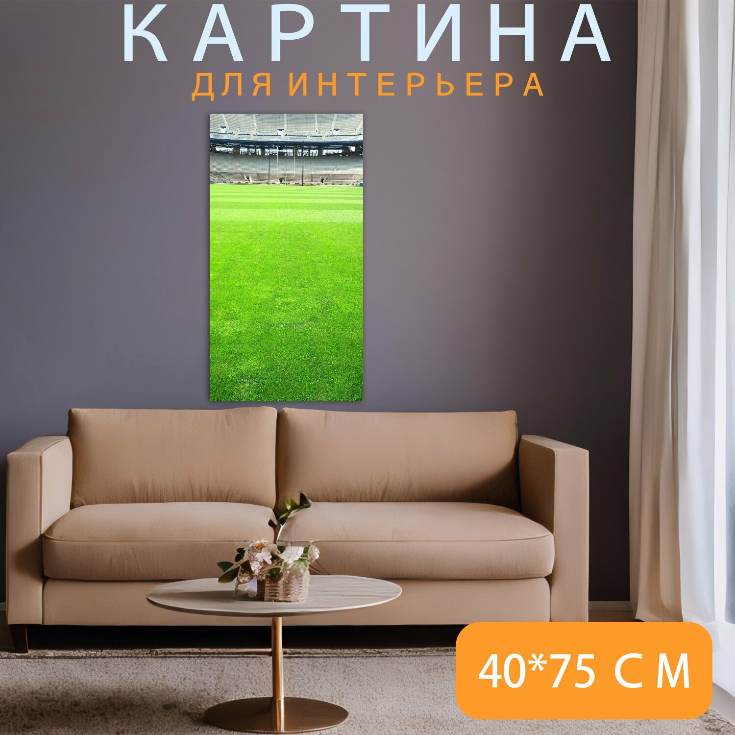 Картина на холсте "Бобровый стадион, стадион, поле" на подрамнике 40х75 см. для интерьера