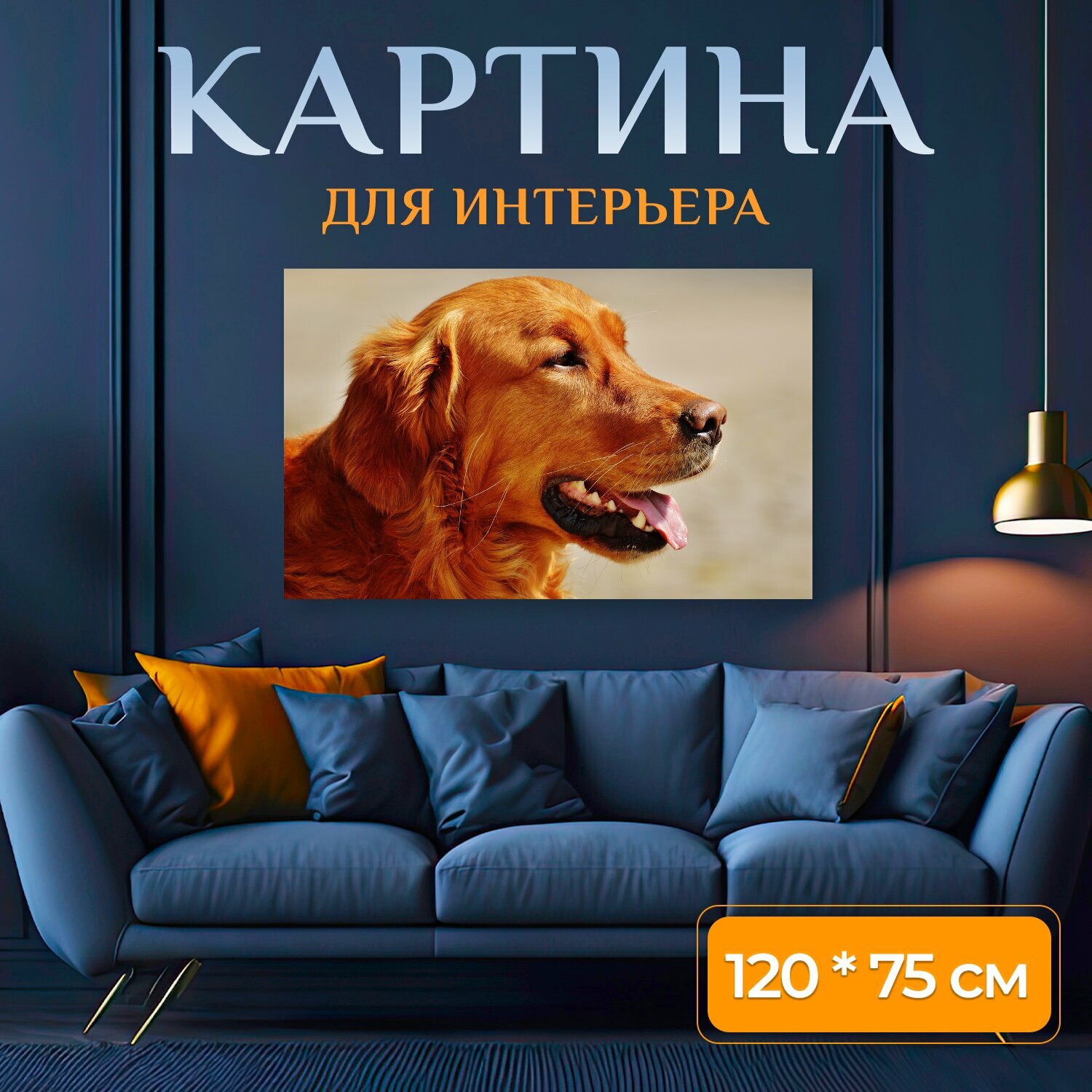 Картина на холсте "Ирландский сеттер, собака, шерсть" на подрамнике 120х75 см. для интерьера