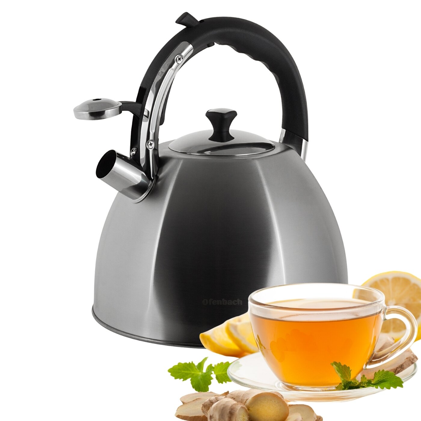 Чайник 4,5 л. из нержавеющей стали со свистком Ofenbach NB 100309 (4,5 л. / серебристый)