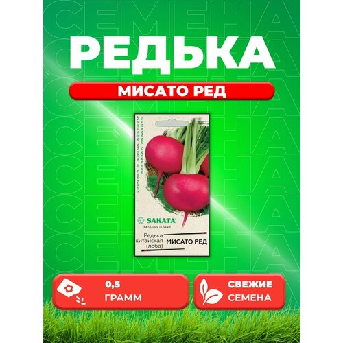 Редька Мисато Ред (китайская, дайкон) 0,5 г (Саката) семена редька китайская дайкон лоба мисато грин 10г гавриш фермерское подворье sakata