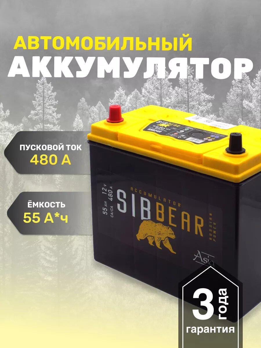 Аккумулятор автомобильный SIBBEAR ASIA 65B24R 55 А*ч п. п.