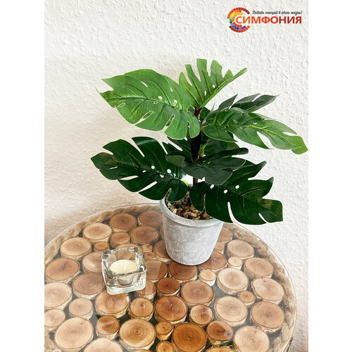 Искусственное растение Чепепаха 973₽